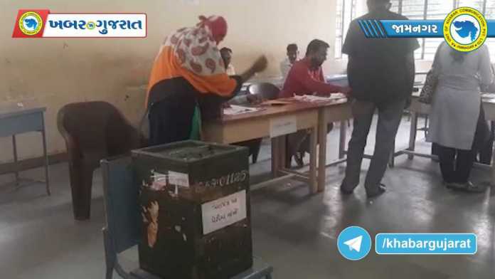 education election-1