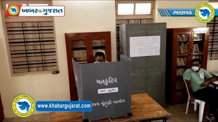 bhanwad election-1