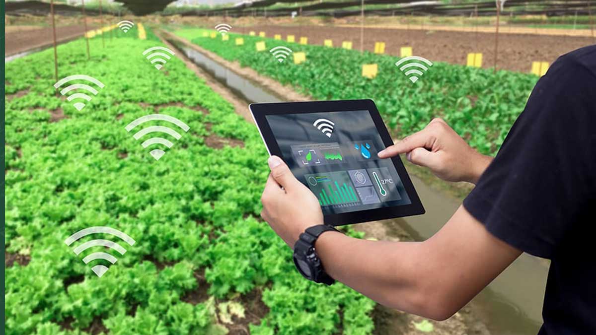 farmer-data-digitalization