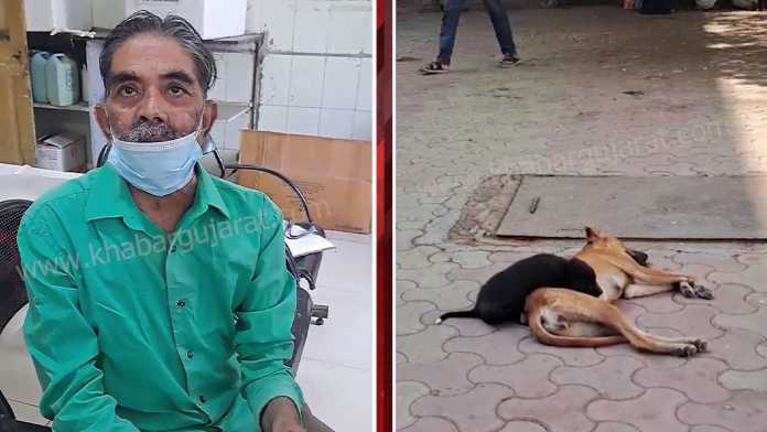 g-g-hospital-25-11-2025