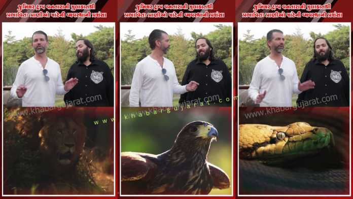 trump-jr-praise-vantara