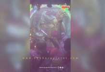 દ્વારકાધીશના પવિત્ર ફુલડોલ ઉત્સવની દિવ્ય આરતી – VIDEO