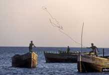 ઓખાની સસ્પેન્ડેડ ફિશિંગ બોટ પ્રકરણમાં વધુ એક માછીમાર સામે નોંધાયો ગુનો Fishing